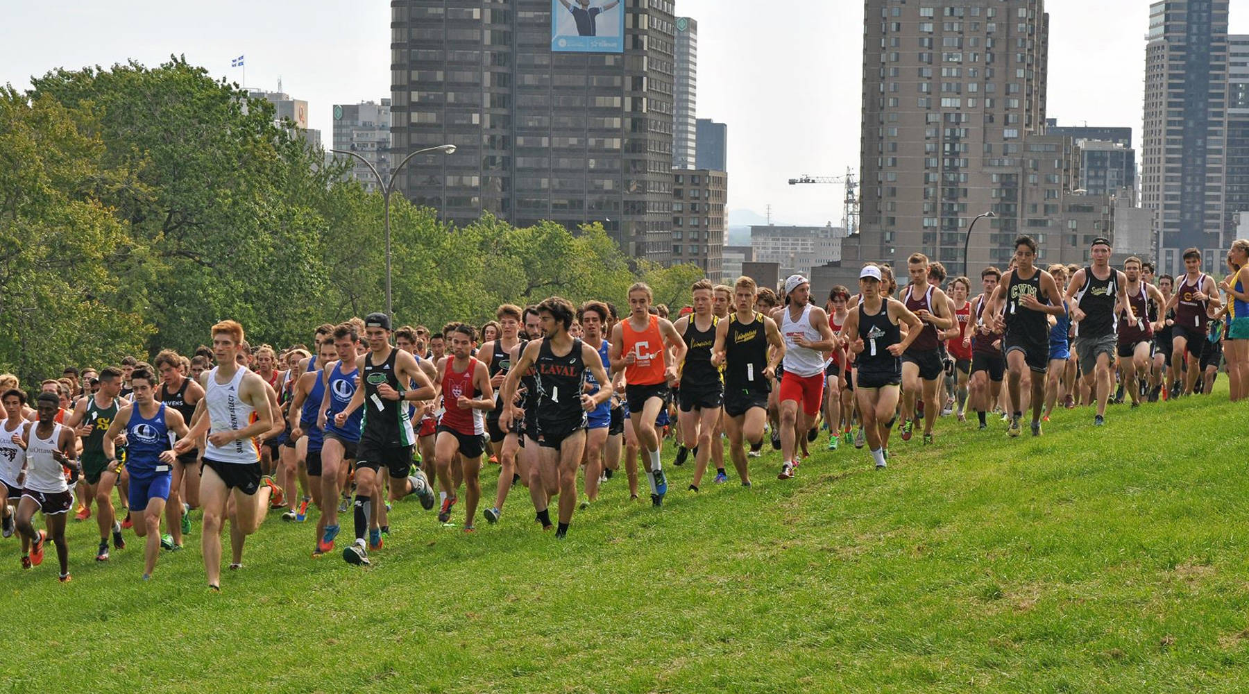 cross mcgill 2016